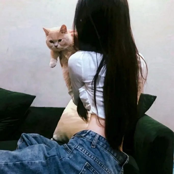 傻仔得美